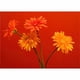 thumbnail image 1 of Cuadros Decorativo Moderno Flores 4 Gerberas, 1 of 3