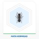 thumbnail image 4 of Insecticida Aerosol Mata Hormigas, 4 of 4
