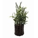 thumbnail image 2 of Planta lavanda artificial macetero ratán, 2 of 3