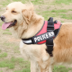 thumbnail image 3 of Arnés pechera K9 acolchado reforzado perros grandes talla l, 3 of 3