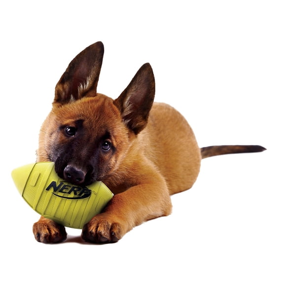 Pelota de fútbol de goma para perros Nerf Dog Toy con chirriador, para tamaño mediano/grande
