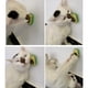 thumbnail image 5 of X2 Bola Giratoria Hierba Gatera Catnip Para Gatos Adhesivo Verde, 5 of 9