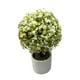thumbnail image 3 of Plantas Artificiales Mini Bonsai Arbol Decoracion 6 unidades verde, 3 of 5