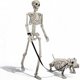 thumbnail image 1 of Decoración de Halloween: Esqueleto UZYZMS 91 cm y 56 cm, 1 of 6