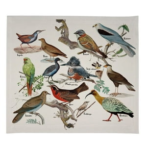 Tuyo Print - Set 4 Individuales Impermeables Nativo