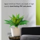 thumbnail image 5 of Plantas artificiales de agave Ttranewsoo, grandes, resistentes a los rayos UV, paquete de 2, 5 of 9