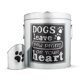 thumbnail image 1 of Contenedor de Alimento para Mascotas The PetSteel Grande 50 lb Plateado, 1 of 6