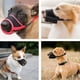 thumbnail image 5 of Bozal de nailon para perro, 2 unidades, suave, transpirable, ajustable, antimordeduras, para perros pequeños, medianos y grandes (M), 5 of 5