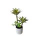 thumbnail image 2 of Mini Suculentas Decorativas Artificiales Con Macetero 3 Uni., 2 of 5