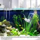 thumbnail image 3 of Cepillo limpiador raspador de acuario de aleación de aluminio y magnesio con 10 cuchillas de acero inoxidable para peces, arrecifes, plantas y acuarios de vidrio., 3 of 8