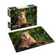thumbnail image 1 of Puzzle 1000 Piezas Fauna Chilena Puma, 1 of 2