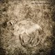 thumbnail image 1 of LP Zach Top Semtex 2LP Gatefold + tarjeta de descarga, 1 of 1