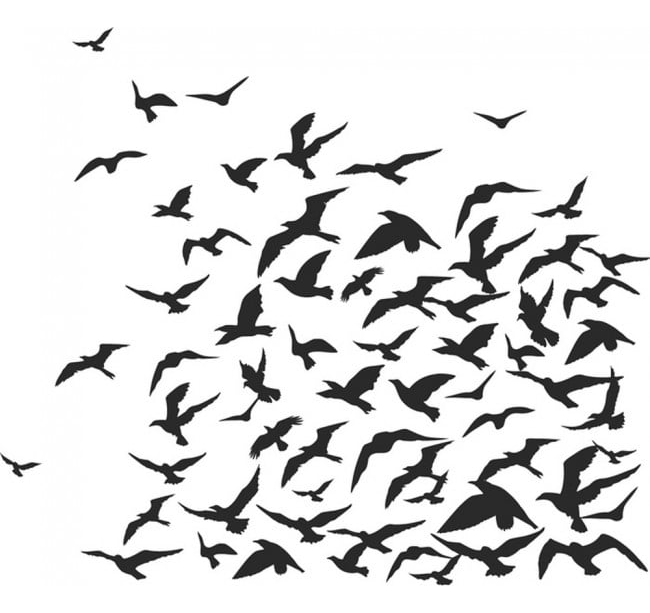 Rienda Libre Graphics - Decomural Flock Of Birds Birds & Feathers Ws-17621