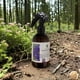 thumbnail image 3 of Home Spray Verbena, 3 of 3