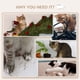 thumbnail image 5 of Árbol para Gatos PawHut de 4 Niveles Montado en Pared con Rascador, 5 of 9