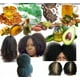 thumbnail image 5 of Champú y acondicionador orgánico con árbol de aceite de aloe vera-Castor- Argan- Macadamia- Coconut & Jojoba -Sulfate/Paraben Free- para todos los tipos de cabello: hombres y mujeres (33 oz), 5 of 5