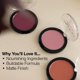 thumbnail image 5 of Blush Palladio Matte Bayberry, aspecto mate suave, libre de crueldad animal, 5 of 9