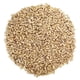 thumbnail image 1 of Chips de girasol Country Max de Wild Bird Food, 22,68 kg, sin residuos, 1 of 7