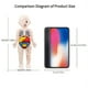 thumbnail image 2 of Kid Montessori 3D Puzzle, Human Body Anatomy Model Educational Learning Organ Assembled Toy, Body Organ Teaching Tool For Children, 2 of 2