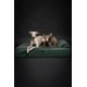 thumbnail image 5 of Cama ortopédica grande para perros NOAH & PAW, 89 x 64 x 22 cm, impermeable, 5 of 7