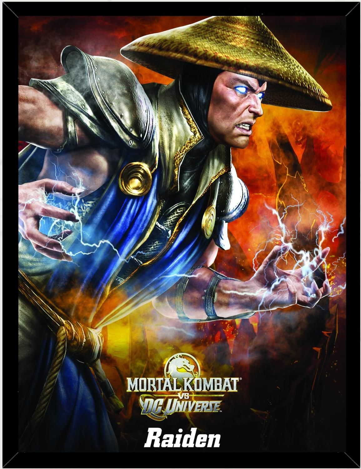 Genérico - Cuadro Decorativo Mortal Kombat Raiden Medidas 30X40 Cm