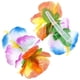 thumbnail image 5 of Conjunto de disfraz hawaiano de luau hula grass para niñas Gejoy, 5 of 6