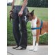 thumbnail image 2 of Arnés para perros PetSafe Easy Walk Deluxe No Pull Small Ocean, 2 of 8