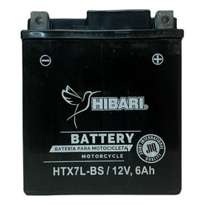 Genérico - Bateria Para Moto Motorrad Nt 25 Negro