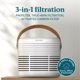 thumbnail image 2 of Purificador de aire Homedics 447 pies² con filtro HEPA verdadero, 2 of 7
