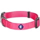 thumbnail image 1 of Collar para perros Blueberry Pet Essentials de nailon rosa para perros grandes, 1 of 8