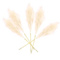 Magideal - Decoración De Ramas De Hierba Artificial , 5 Tallos, 27 Pulgadas, Simulación De Flores Secas, Decoración De Habitación, Ramo Para Jarrón, Boda, D , Beige