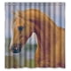 thumbnail image 1 of Cortina de ducha con diseño de cabeza de caballo, juego de cortinas de baño con ganchos, tamaño 66 x 72 pulgadas, 1 of 3