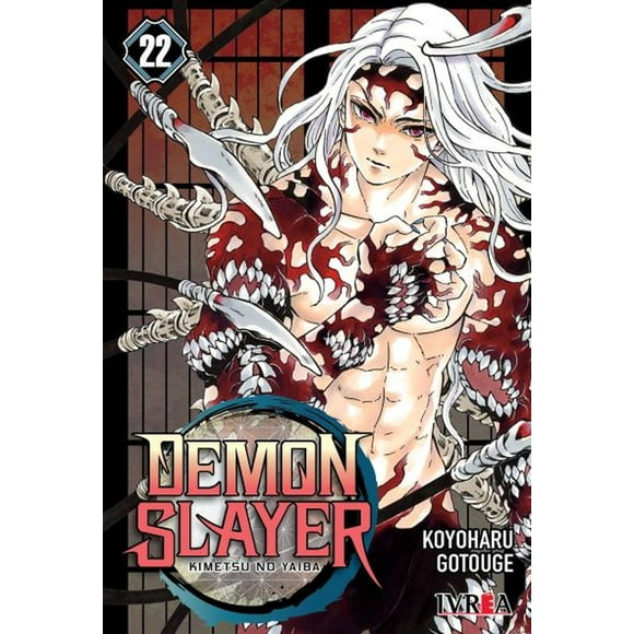 Manga Demon Slayer: Kimetsu No Yaiba 22