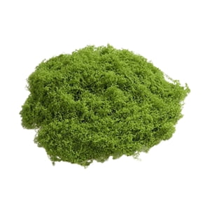 Bothyi - Adornos De Musgo Falso, Plantas Verdes Simuladas Para Terrarios, Macetas De Jardín, Tamaño S, Verde Oscuro