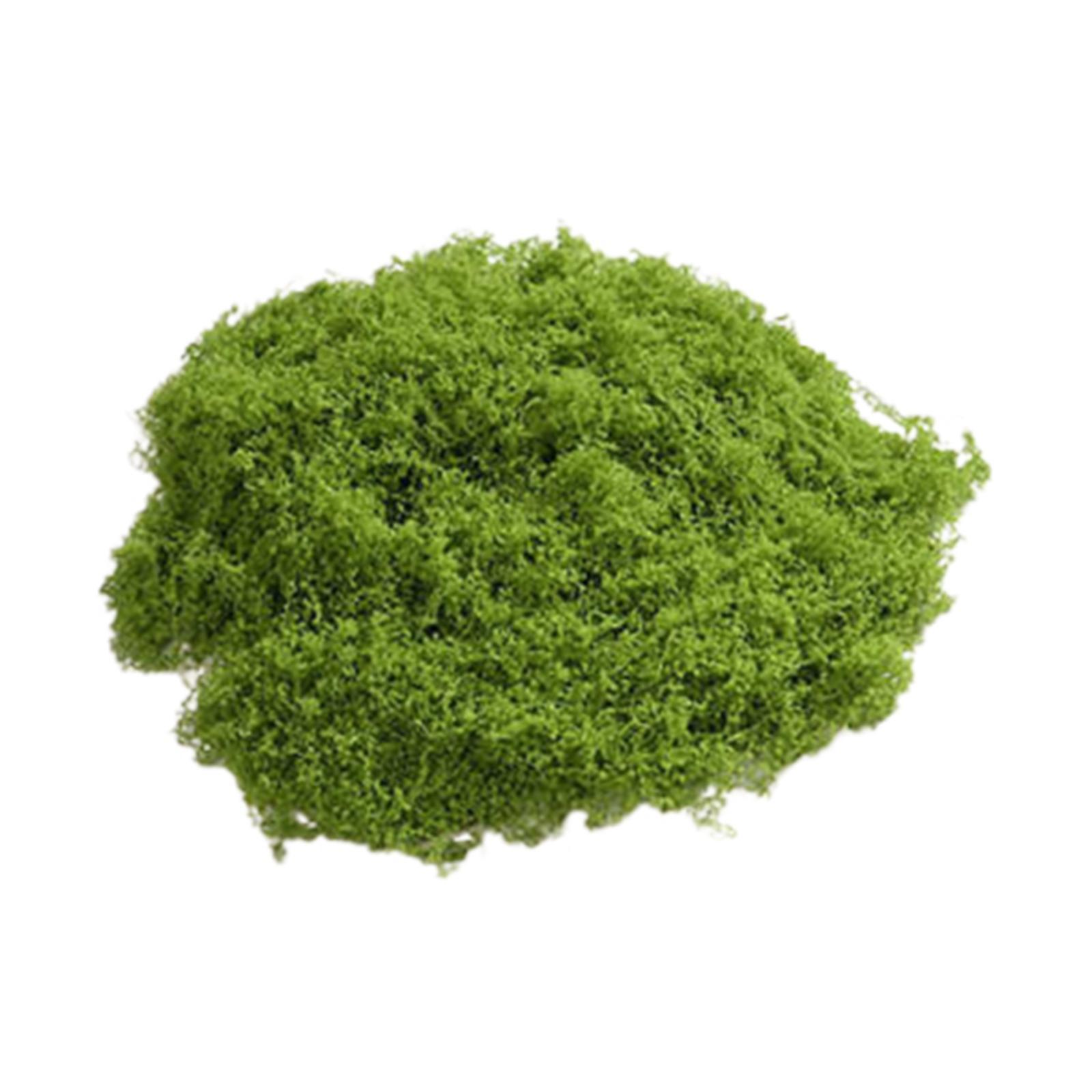 Bothyi - Adornos De Musgo Falso, Plantas Verdes Simuladas Para Terrarios, Macetas De Jardín, Tamaño S, Verde Oscuro