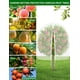 thumbnail image 2 of Malla para árboles frutales VITI grande con cierre de cremallera, 10 x 10 pies, 2 piezas, 2 of 7