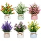 thumbnail image 1 of Flores artificiales en maceta Yoratee con maceta, 6 unidades para decoración, 1 of 6