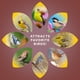 thumbnail image 4 of Alimento para Pájaros Audubon Park Corazones de Girasol Bolsa de 2,3 kg, 4 of 6