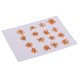 thumbnail image 3 of 16 Piezas De Flores Prensadas Secas DIY En Relieve Material De La Caja Del Teléfono Del Marco De La Foto, 3 of 5