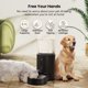 thumbnail image 2 of Dispensador de agua para perros CZPET de 9,5 L de acero inoxidable, 2 of 8