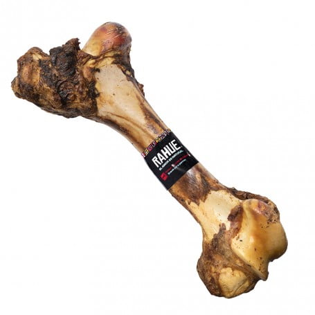 Rahue Fémur Gigante de Vacuno 40CM