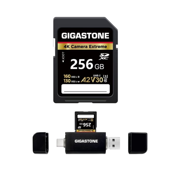 Tarjeta SD GIGASTONE 256 GB UHS‑I A2 V30 U3 180 MB/s
