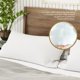 thumbnail image 5 of Juego de 2 unidades Pillows Looms & Linens, tamaño queen, con relleno de almohada, 5 of 9