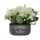 thumbnail image 2 of Planta Artificial Macetero De Cemento Flowers And Plants blanco, 2 of 8