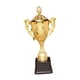 thumbnail image 3 of Premio Trofeo Premio Trofeos pequeños Trofeo Copa con base para de competencia escolar en , 21,5 cm 215 cm, 3 of 5