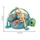 thumbnail image 2 of Gimnasio Piscina Pelotas 3 en 1 Tortuga, 2 of 3