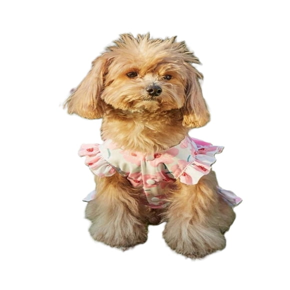 Vestido Flores Rosa Para Mascotas Perros Gatos Conejos Otros