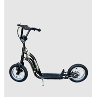 Genérico - Scooter Bicicleta Ruedas Aro 12