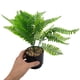 thumbnail image 2 of Planta Helecho Artificial 10*30cm, 2 of 3