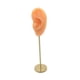 thumbnail image 4 of Soporte De Exhibición De Pendientes, Modelo De Oído Humano, Soporte De Perno, Escaparate, Organizador De Joyas, Piel Normal Izquierda, 4 of 5